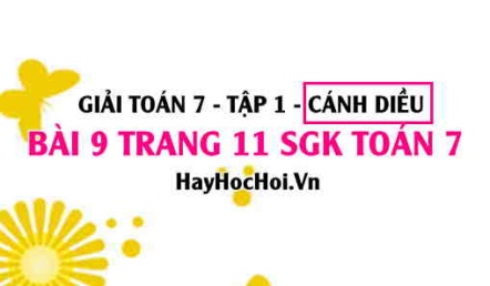 Giải bài 9 trang 11 Toán 7 Tập 1 SGK Cánh Diều